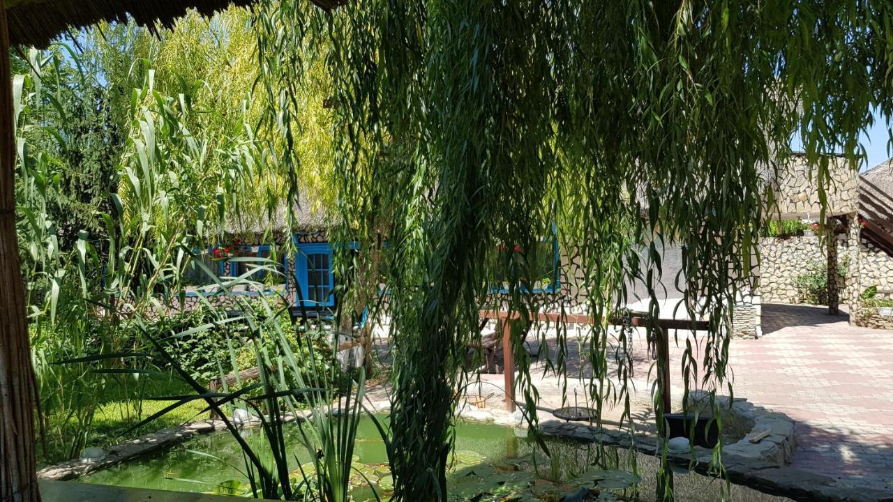Pensiunea Iubire De Delta " La Traian " Murighiol Exterior foto