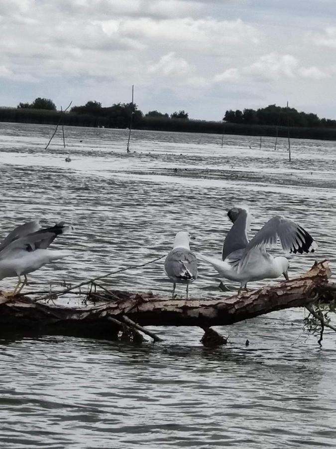 Pensiunea Iubire De Delta " La Traian " Murighiol Exterior foto